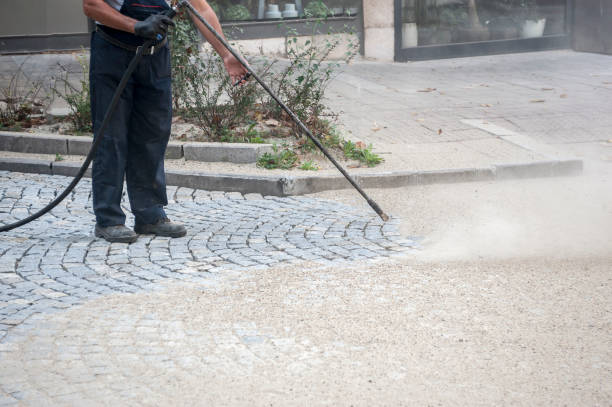 Best Animal Enclosure Cleaning  in Riverdale, NJ